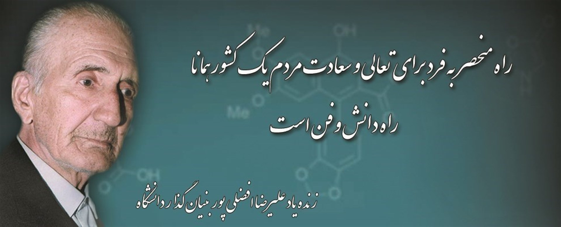 مهندس علیرضا افضلی پور